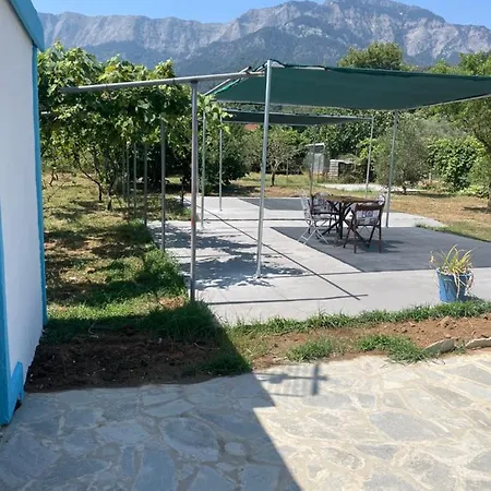 Tasos Bi Chrysi Ammoudia